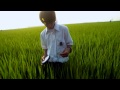 All about Lilly Chou-Chou OST - Kaifuku suru Kizu ...