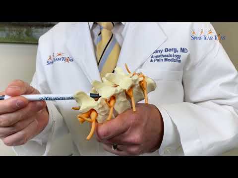 Spinal Cord Stimulator | What is it and why is it used?