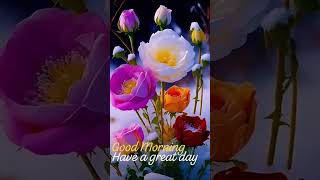 Download lagu Oodha oodha poo 💕😘 song from minnasarakanna movie #vijaysong #tvkmaanadunews # mp3 Download lagu Oodha oodha poo 💕😘 song from minnasarakanna movie #vijaysong #tvkmaanadunews # mp3