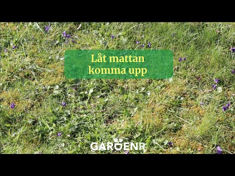 Let the lawn come up - Garden hacks with GardenR