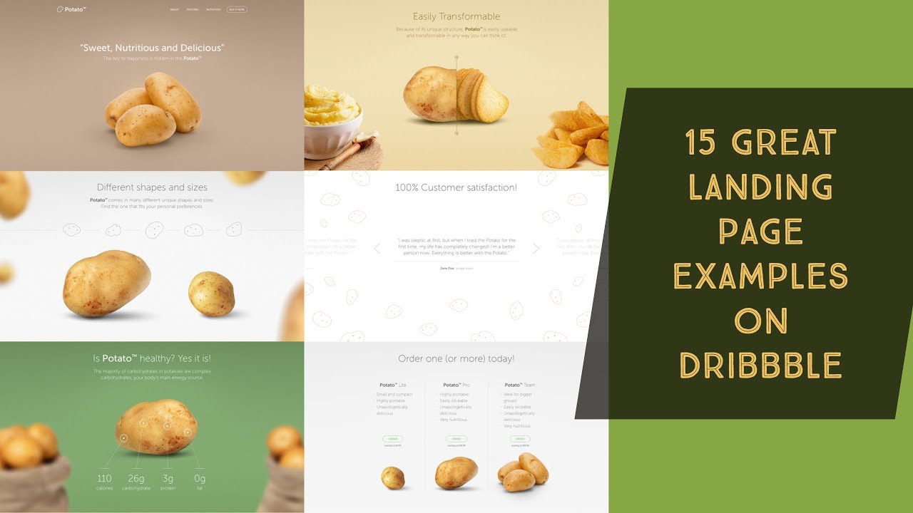 15 Great Landing Page Examples on Dribbble