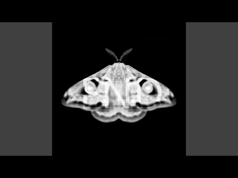 Don't Stare at the Freaks (Original Mix)