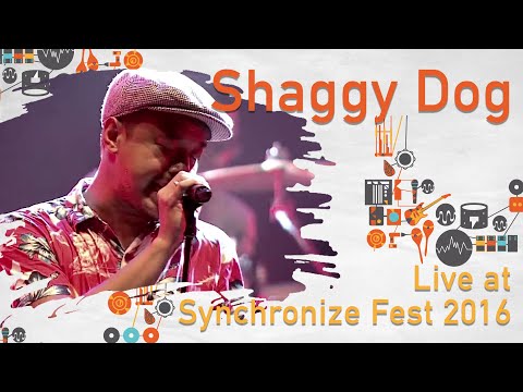 Shaggydog LIVE @ Synchronize Fest 2016