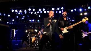 Neon Trees - Animal - Live On Fearless Music HD