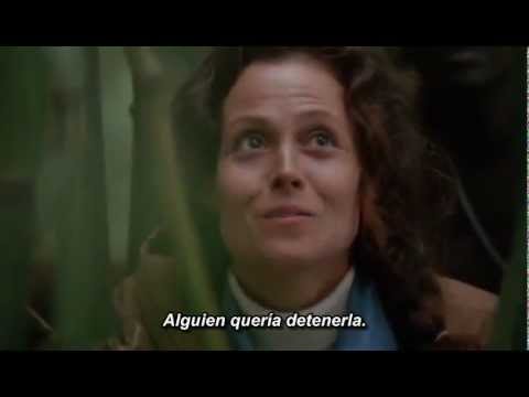 Vista previa del video