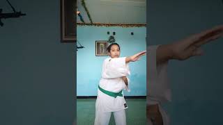 Download lagu TEKNIK DASAR KEMPO mp3