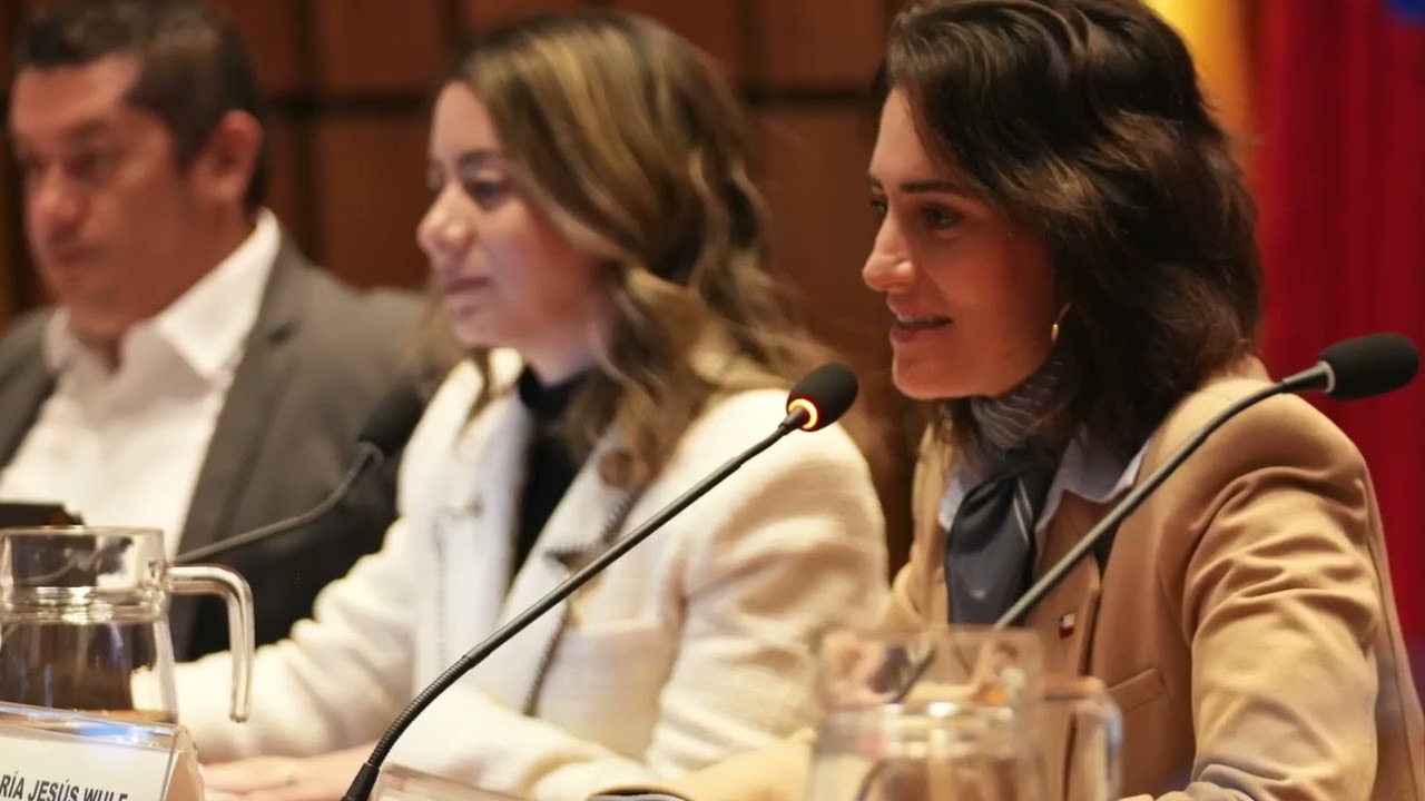 Video resumen del Sexto Seminario Regional de Desarrollo Social de la CEPAL