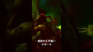 タギーラ　強いんよ笑