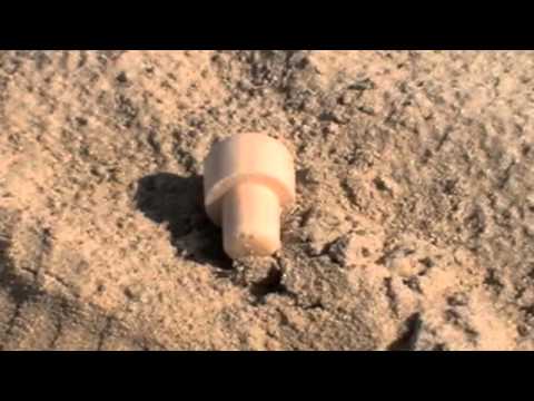 Giancarlo Nicolai & Vitold Rek