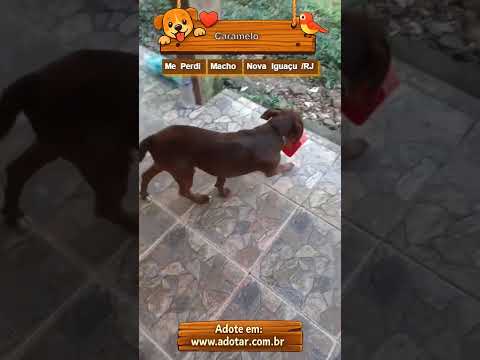 Vídeo de Caramelo