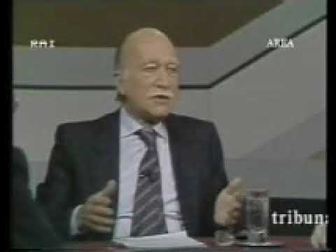 Giorgio Almirante - I camerati