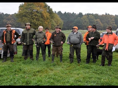 Hubertusjagd 3. 11. 2017 - G`lüder - Bimbach - Revier Döppner / Keller