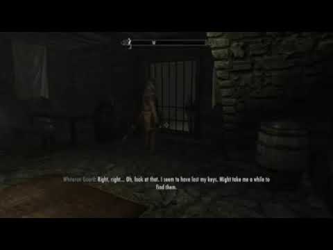 Funny Dialogue Between Whiterun Guard and Alik'r Prisoner