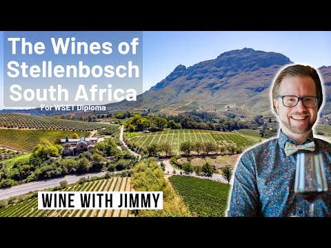 Stellenbosch Wines for WSET Level 4 Diploma D3