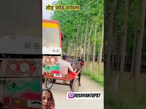 Vandalism case of Jhota #ihotaracenew #jhota #viralvideo #farming #dushyantup37 #animals #jhotarace