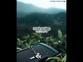 Malliga Mottu Manasa Thottu Whatsapp Status Song VijiSugu