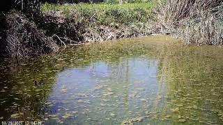 Molí de la Sal: parella menjant