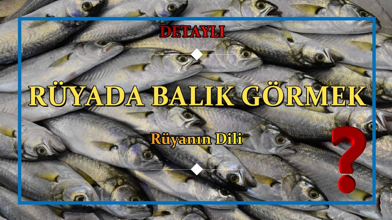 RÜYADA BALIK GÖRMEK // DETAYLI (Rüya Tabiri)