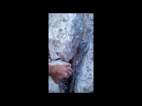 si hay que sanear, se SANEA