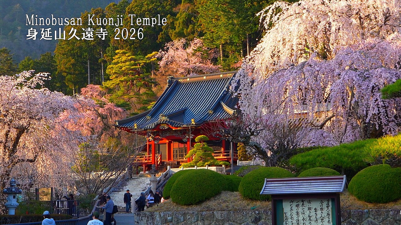 Like paradise, the most beautiful day at Minobu-san Kuonji Temple