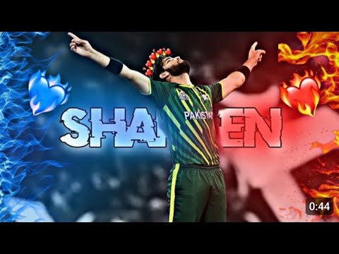 Shaheen shah🦅 × No love🔥|| 