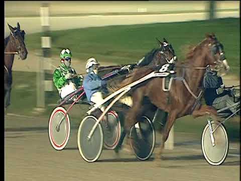 Trotto 03/12/2017 - 6ª corsa