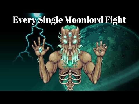 Literally Every Single Moonlord Fight Ever