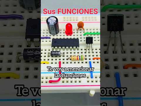 Guía Paso a Paso: Inserción de la Barra Invertida
