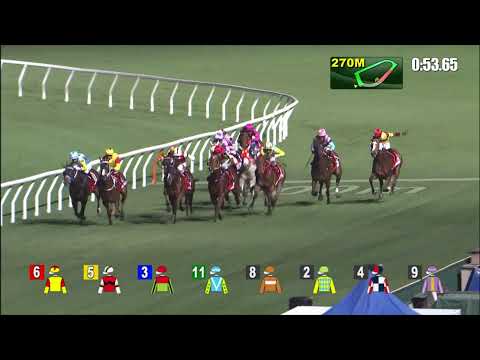 22/12/2021 (277) Here Comes Ted - J Moreira (Ferraris last win in Hong Kong!)