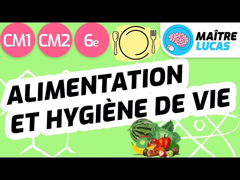 Alimentation et hygiène de vie CM1 - CM2 - 6e - cycle 3 - Sciences