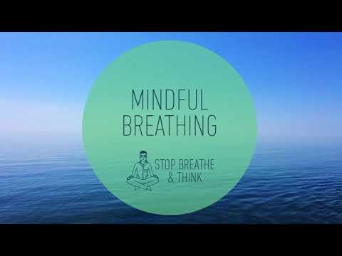 3 minute Mindful Breathing Meditation Relieve Stress
