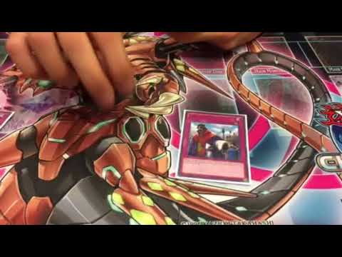 Marcus Hayden First place Minneapolis Regional Pure Zoo