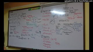 11) Dr. Wael Salah treatment of bacterial Corneal ulcer & hypopyon ulcer