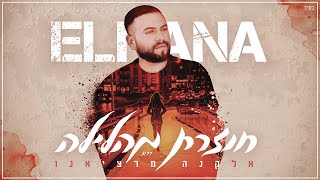 חוזרת מהלילה