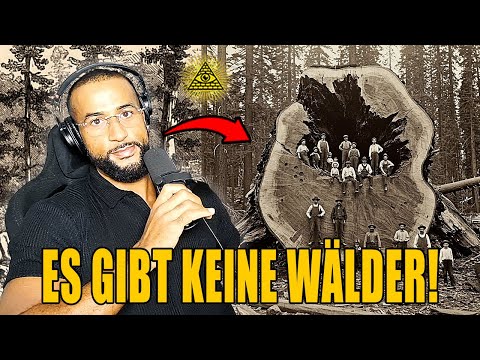 DAS SPRENGT ALLES 🧨🌳 Die verrückteste Verschwörungstheorie ever! - Leon Lovelock