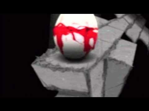 TDN Gang - Bis die Eier bluten