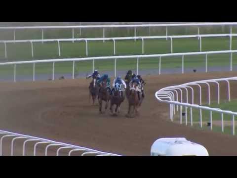 The UAE Embassy Trophy - 04.07.16 Bro Park (SWE)