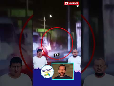 Capturan a motoristas que se hicieron virales por pelea callejera en Tonacatepeque ⚠️🚐  #ultimahora