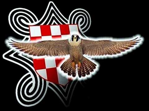 Zlatko Pejaković- Oj ti vilo, vilo Velebita.wmv