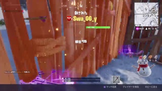 【fortnite】ビクロイとれそう？ ６日目【チャット】