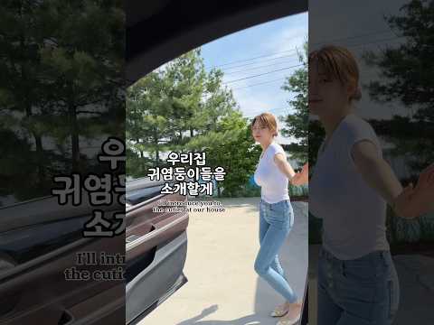 아이콘