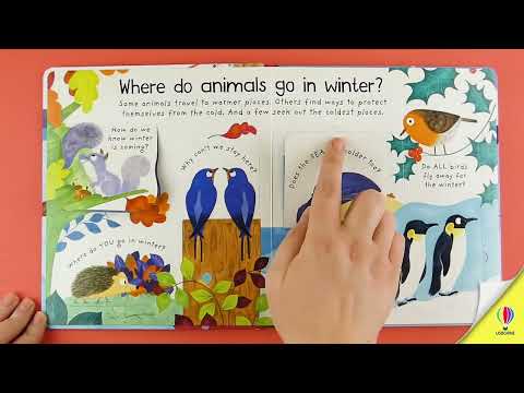 Книга Lift-the-Flap First Questions and Answers: Where Do Animals Go In Winter? video 1