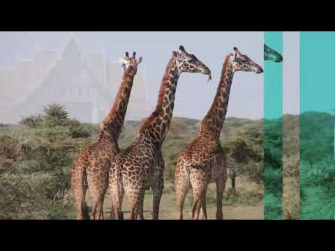 20190103 OFERTAS ENERO 2019