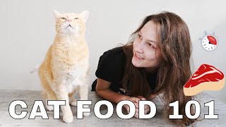 Cat Food 101: What, When, & How Much to Feed Your Cat