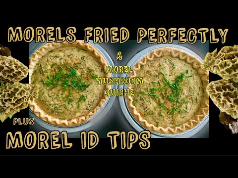💥Morel Mushrooms Fried Up Perfectly💥Morel ID 2023 and Morel Mushroom Quiche, #mushroomrecipe