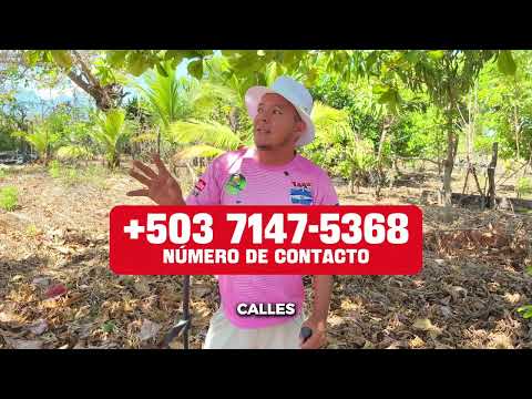 DOS LOTES EN VENTA EN SANTA ANA (SAN SEBASTIAN SALITRILLO)😱