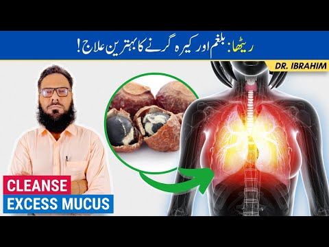 Balgham/Kera Girna Ka Ilaj - Cleanse Mucus/Phlegm From Lungs - Reetha/Soapberry Benefits-Urdu/Hindi