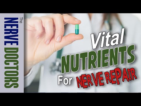 Vital Nutrients for Nerve Repair  & Neuropathy Treatment - The Nerve Doctors