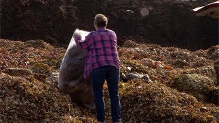 Maple Grove Yard Waste Site Is Open