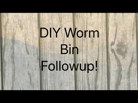 DIY Worm Bin Followup #vermicomposting #wormbin